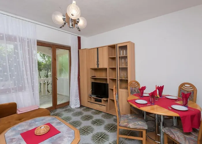 Mato Oborovic Papica 3*